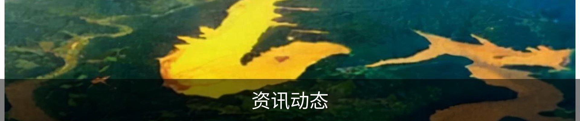 资讯动态